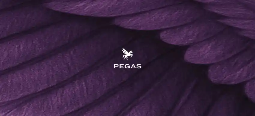 Rebranding Pegas
